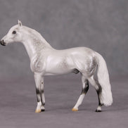 Corazón De Nieve LE-5 Pearl Dapple Grey Andalusian Chip By Ellen Robbins HS24