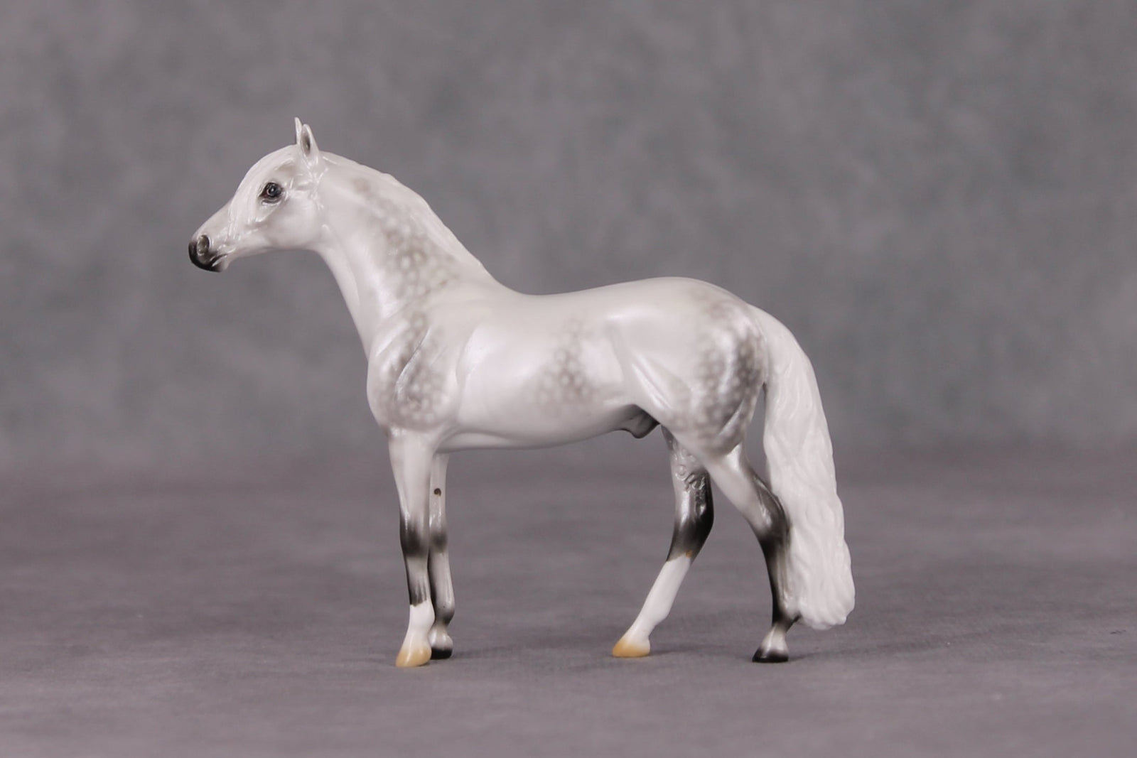 Corazón De Nieve LE-5 Pearl Dapple Grey Andalusian Chip By Ellen Robbins HS24