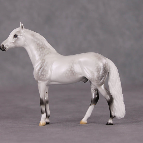 Corazón De Nieve LE-5 Pearl Dapple Grey Andalusian Chip By Ellen Robbins HS24
