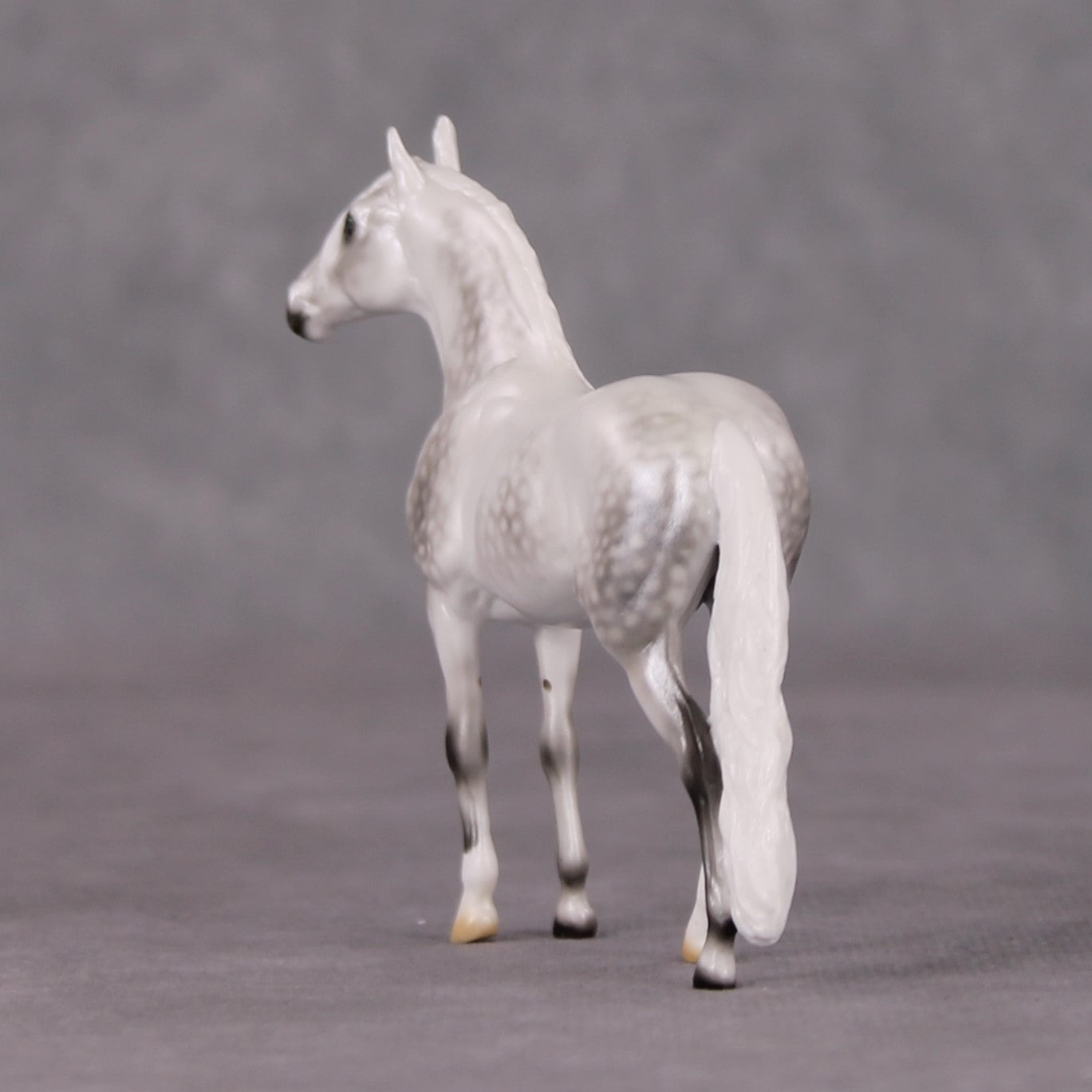 Corazón De Nieve LE-5 Pearl Dapple Grey Andalusian Chip By Ellen Robbins HS24