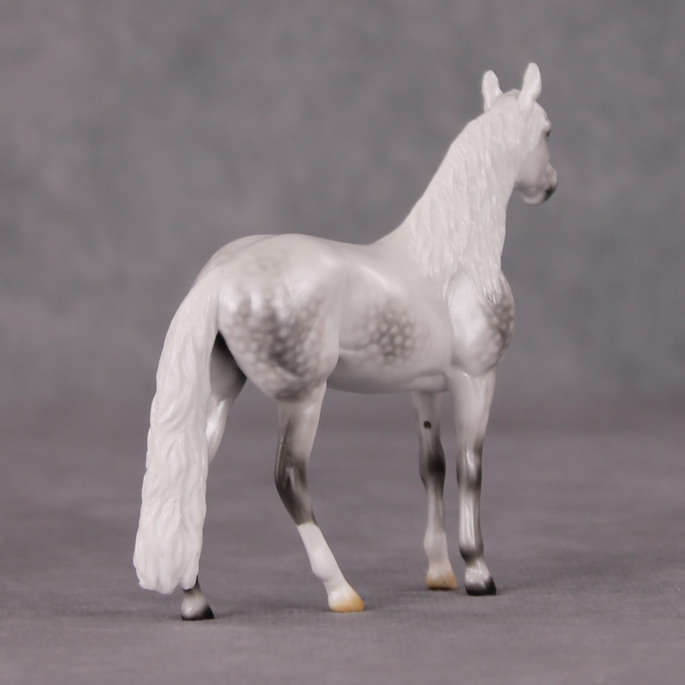 Corazón De Nieve LE-5 Pearl Dapple Grey Andalusian Chip By Ellen Robbins HS24
