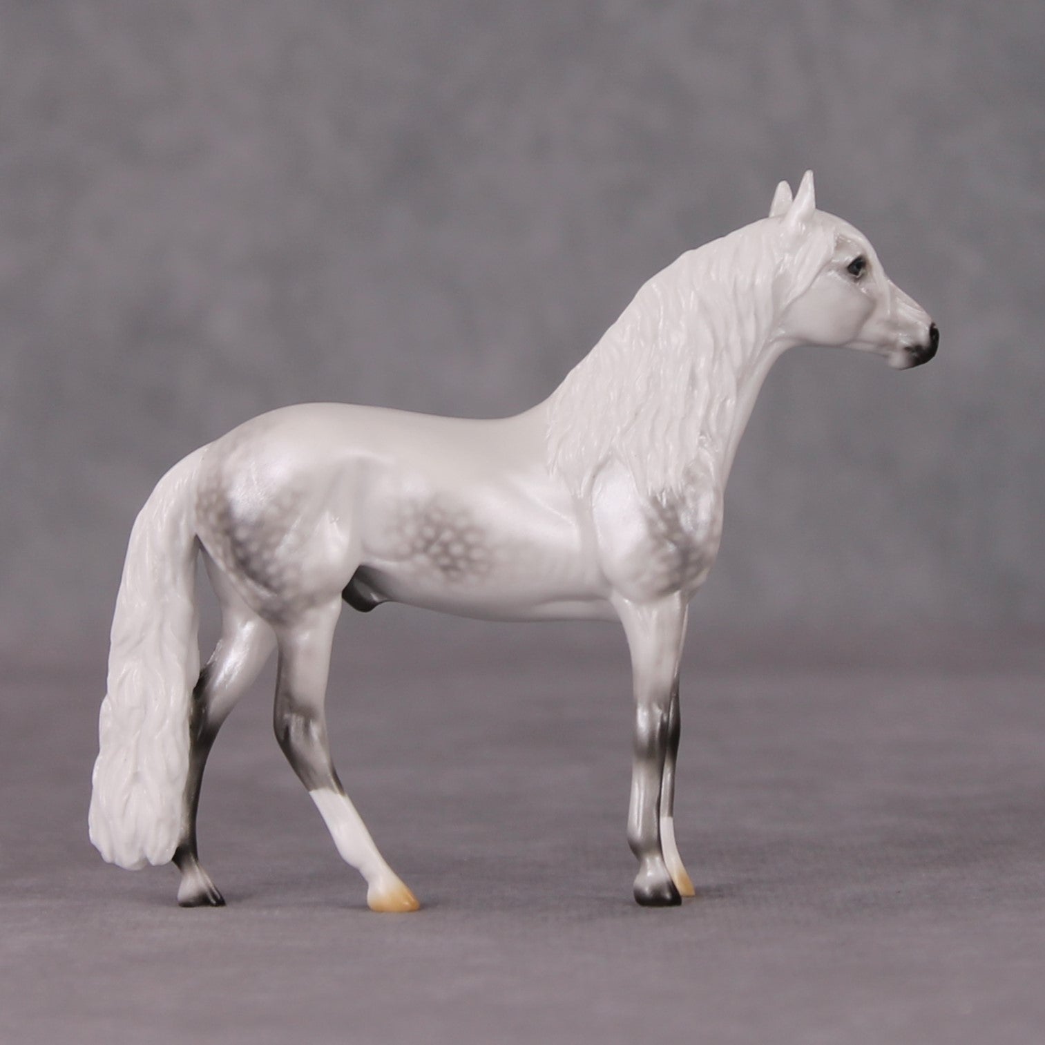 Corazón De Nieve LE-5 Pearl Dapple Grey Andalusian Chip By Ellen Robbins HS24