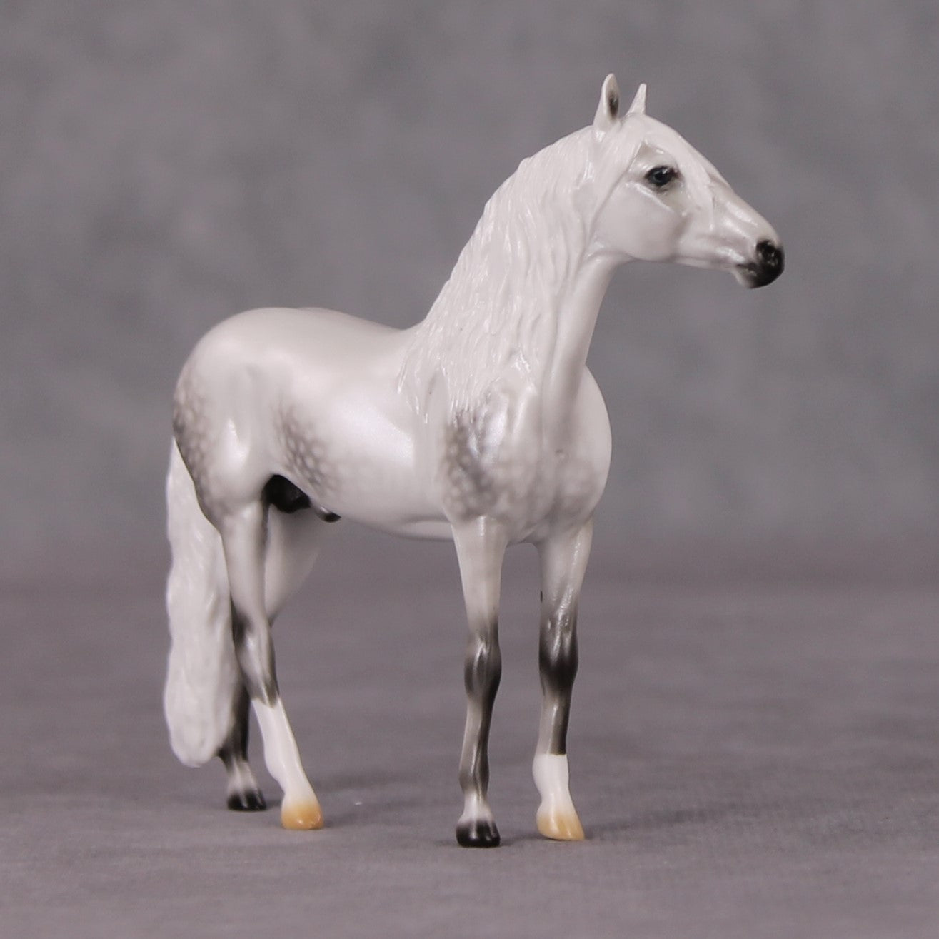 Corazón De Nieve LE-5 Pearl Dapple Grey Andalusian Chip By Ellen Robbins HS24