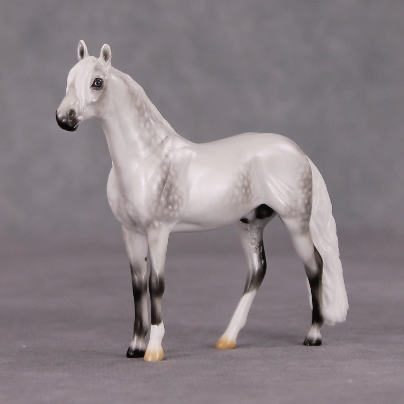 Corazón De Nieve LE-5 Pearl Dapple Grey Andalusian Chip By Ellen Robbins HS24
