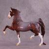 Supernova OOAK Saddlebred By Dawn Quick EQ25