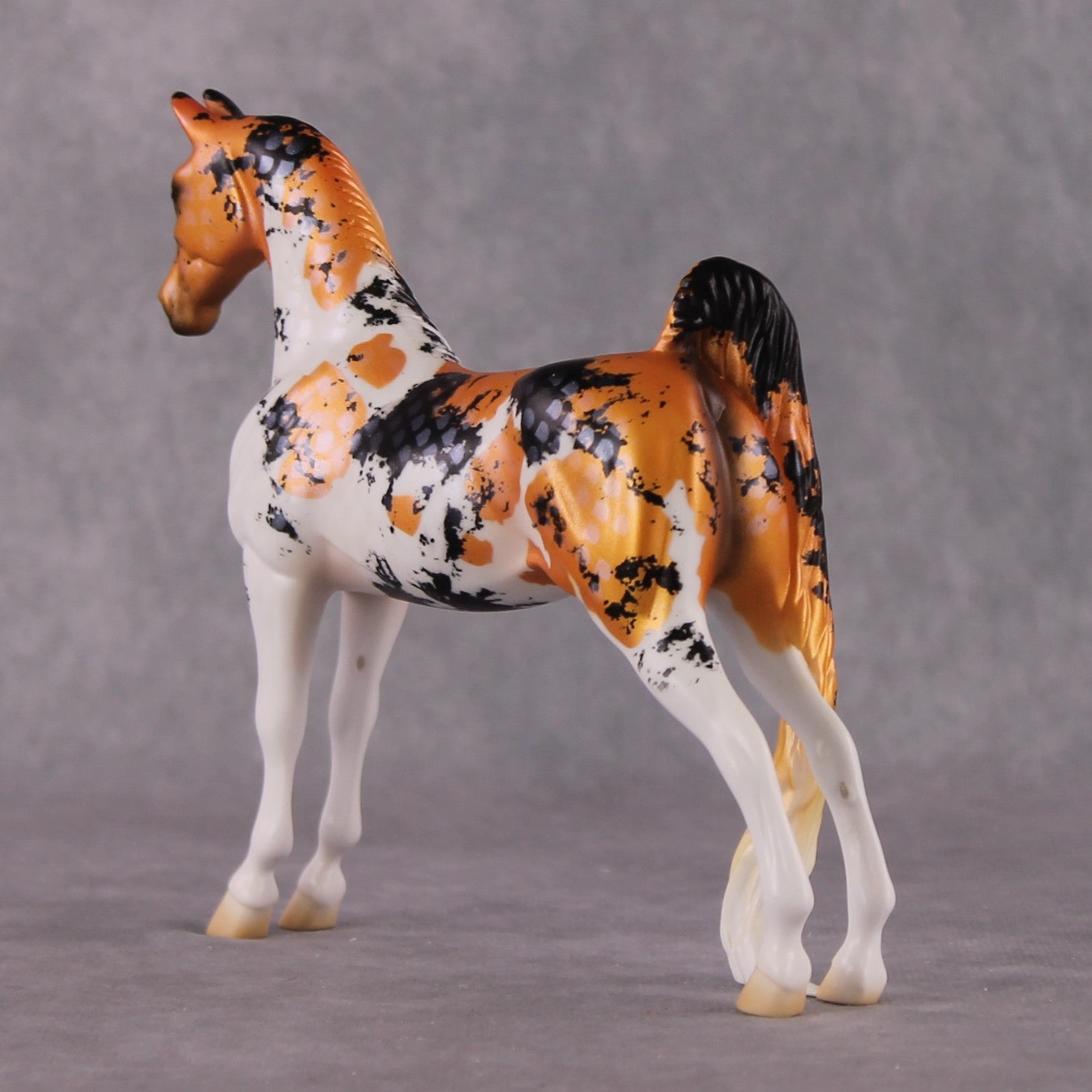 "Carp" OOAK Koi Inspired Saddlebred Pebble by Jess Hamill