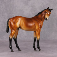 Peach OOAK Mealy Bay Weanling By Angela Marleau HS24 MHP Auction Piece