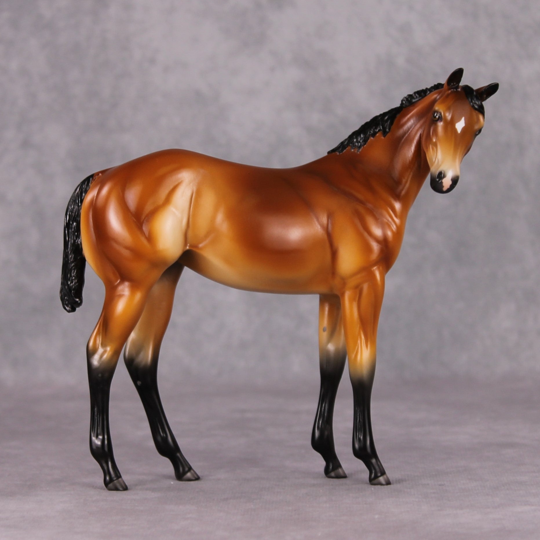 Peach OOAK Mealy Bay Weanling By Angela Marleau HS24 MHP Auction Piece