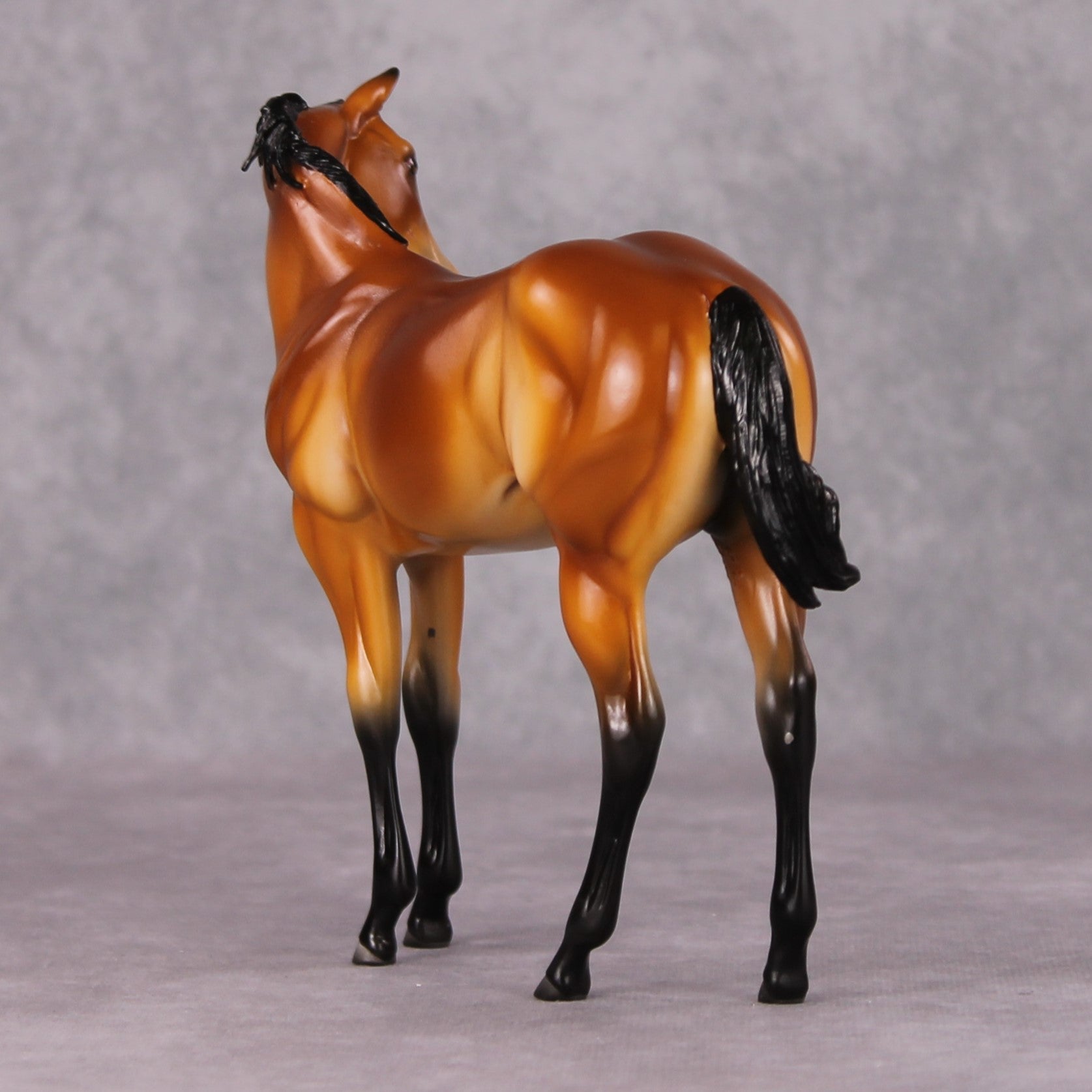 Peach OOAK Mealy Bay Weanling By Angela Marleau HS24 MHP Auction Piece