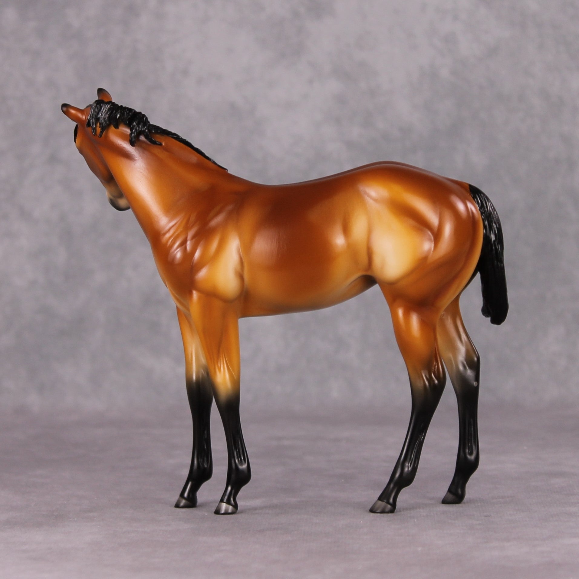 Peach OOAK Mealy Bay Weanling By Angela Marleau HS24 MHP Auction Piece