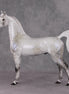 Watchful Winter OOAK Light Dapple Pearl Grey W/ Interference Arabian By Ellen Robbins HS24 MHP Auction Piece