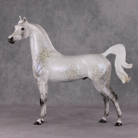 Watchful Winter OOAK Light Dapple Pearl Grey W/ Interference Arabian By Ellen Robbins HS24 MHP Auction Piece
