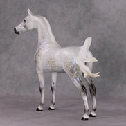 Watchful Winter OOAK Light Dapple Pearl Grey W/ Interference Arabian By Ellen Robbins HS24 MHP Auction Piece