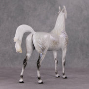 Watchful Winter OOAK Light Dapple Pearl Grey W/ Interference Arabian By Ellen Robbins HS24 MHP Auction Piece