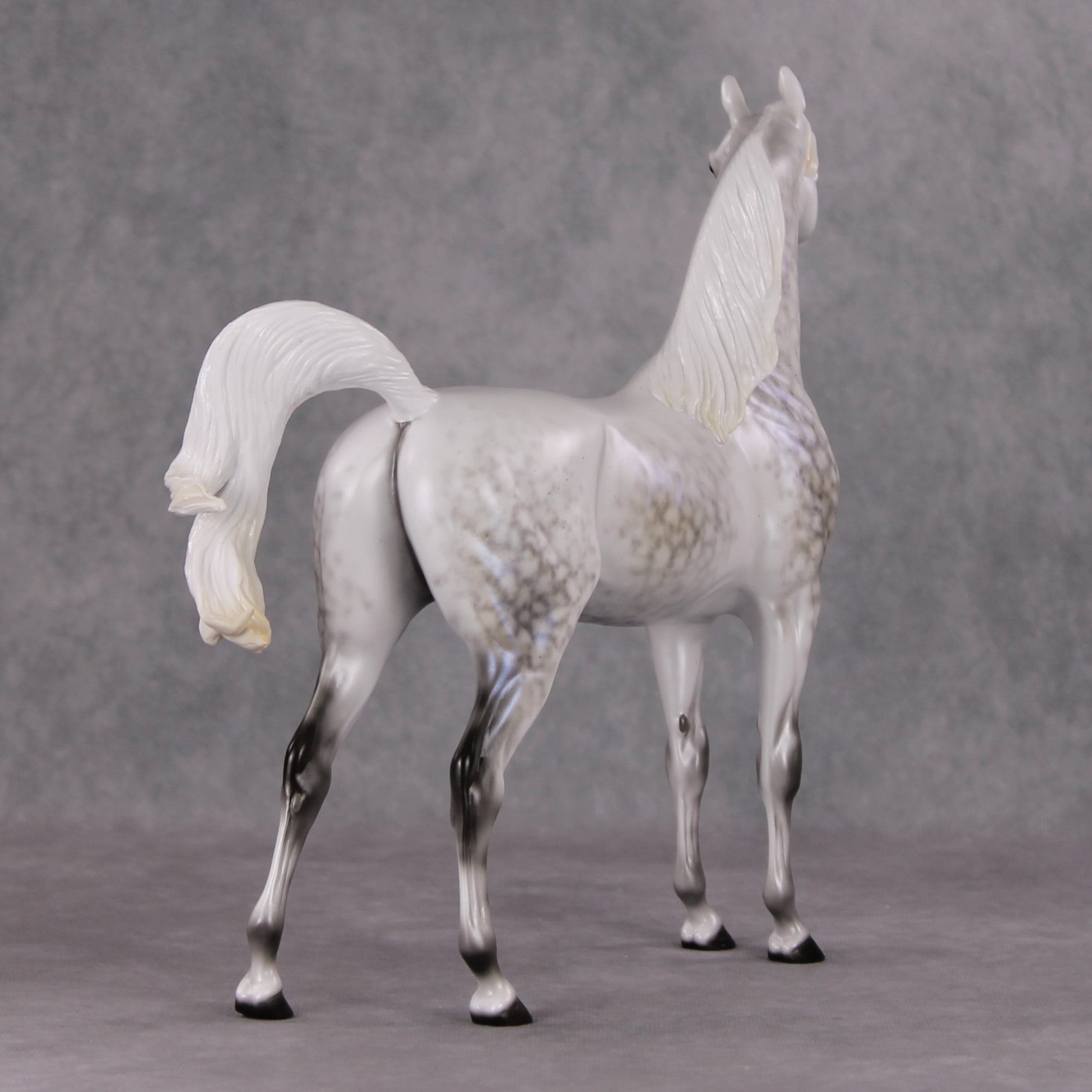 Watchful Winter OOAK Light Dapple Pearl Grey W/ Interference Arabian By Ellen Robbins HS24 MHP Auction Piece