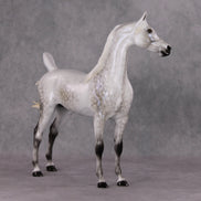 Watchful Winter OOAK Light Dapple Pearl Grey W/ Interference Arabian By Ellen Robbins HS24 MHP Auction Piece