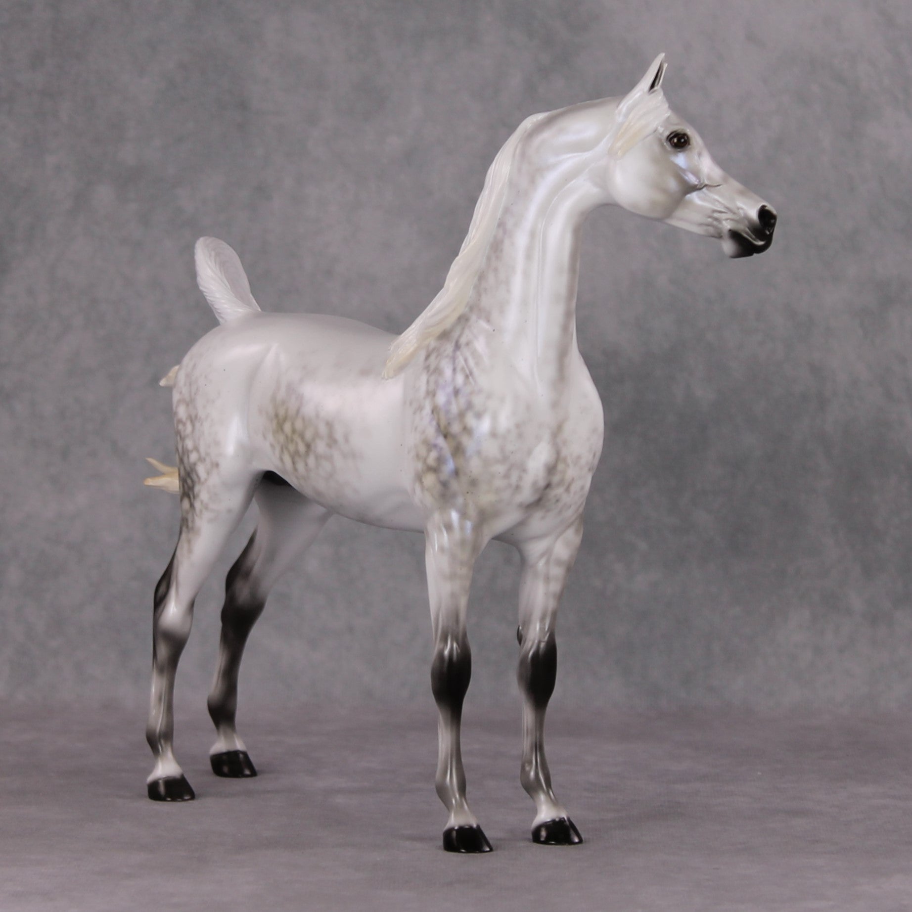 Watchful Winter OOAK Light Dapple Pearl Grey W/ Interference Arabian By Ellen Robbins HS24 MHP Auction Piece