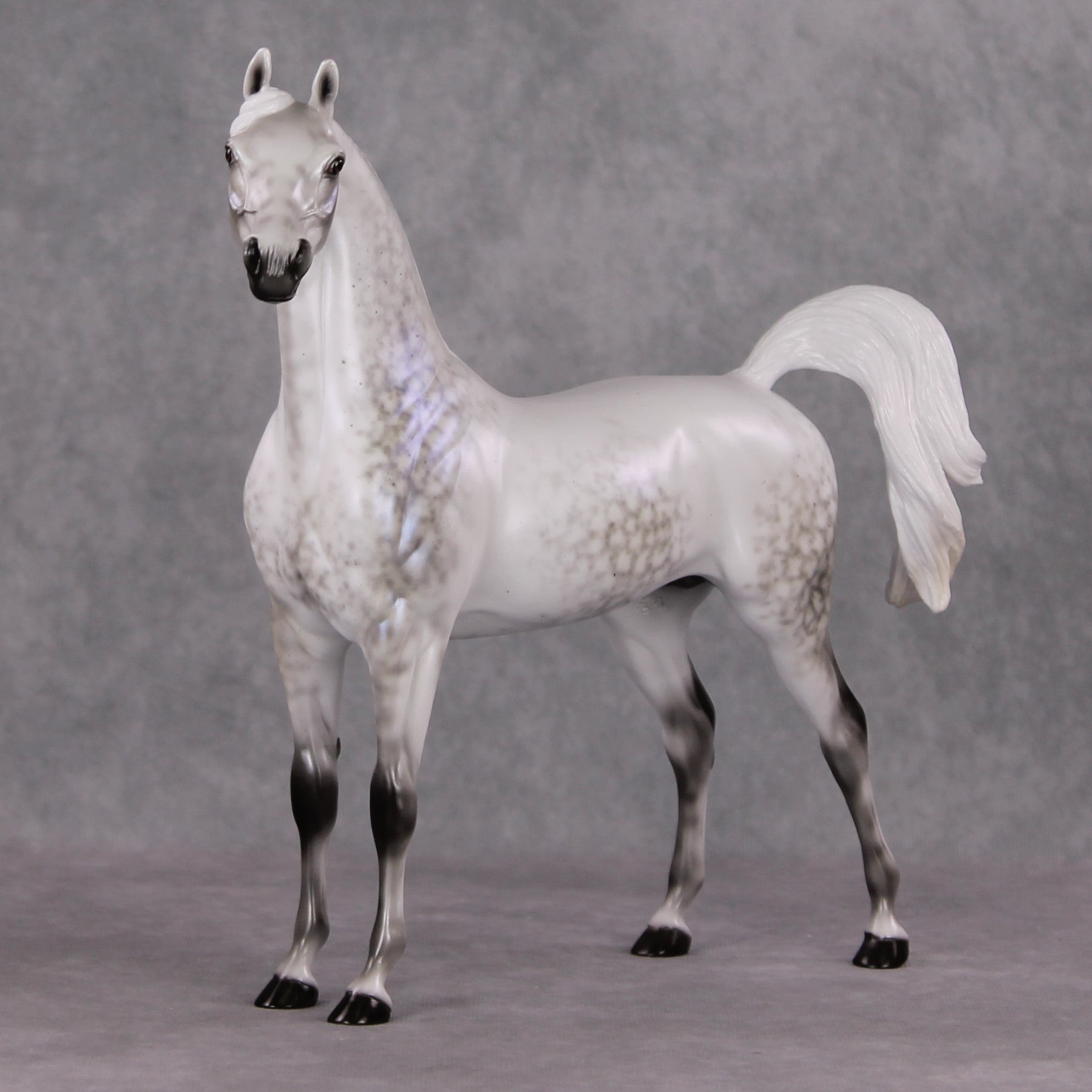 Watchful Winter OOAK Light Dapple Pearl Grey W/ Interference Arabian By Ellen Robbins HS24 MHP Auction Piece