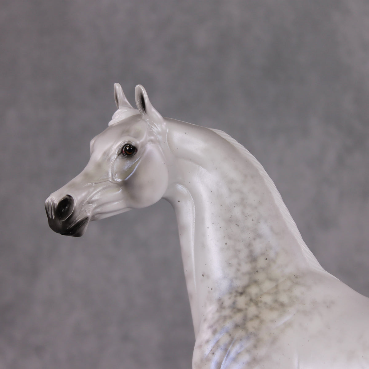 Watchful Winter OOAK Light Dapple Pearl Grey W/ Interference Arabian By Ellen Robbins HS24 MHP Auction Piece