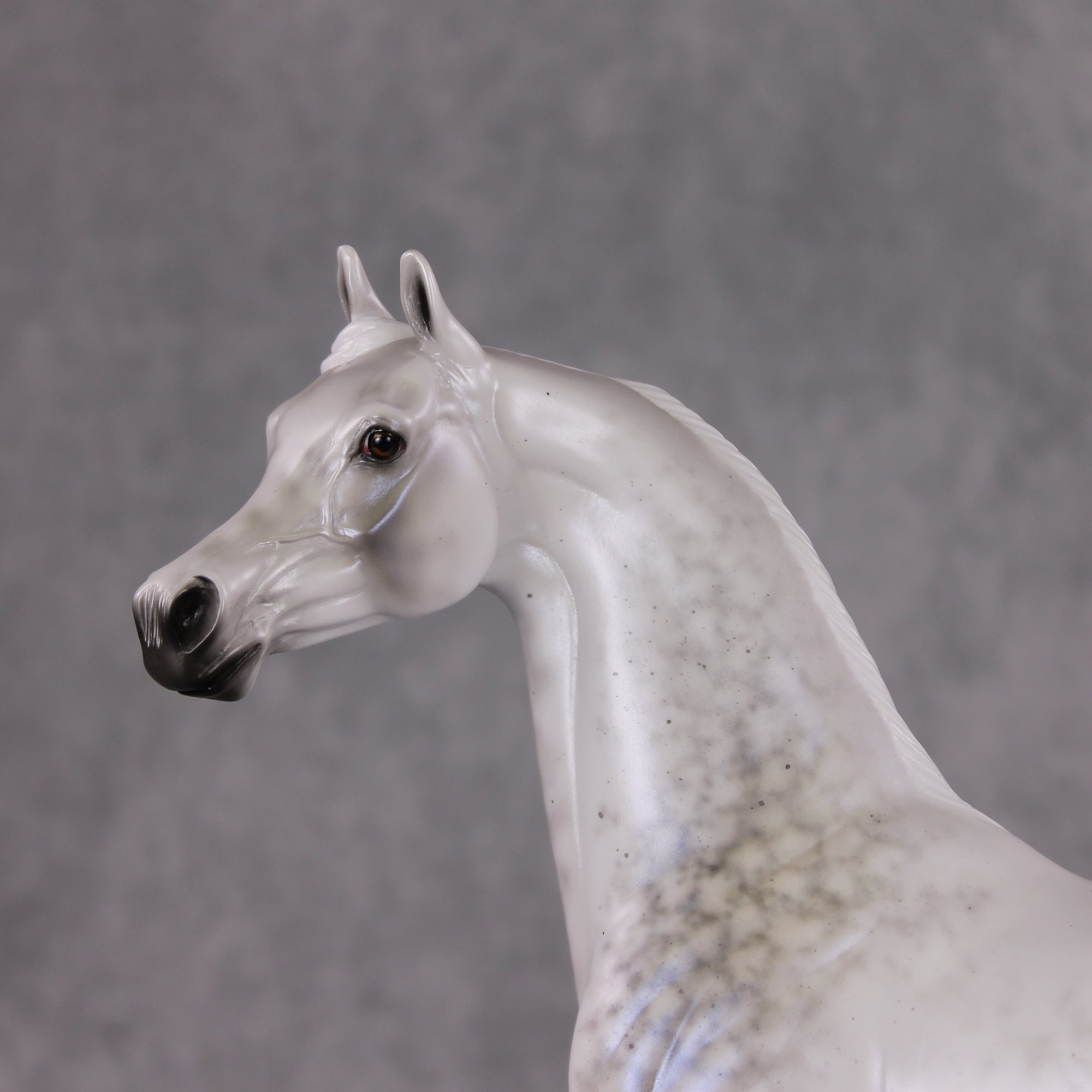 Watchful Winter OOAK Light Dapple Pearl Grey W/ Interference Arabian By Ellen Robbins HS24 MHP Auction Piece
