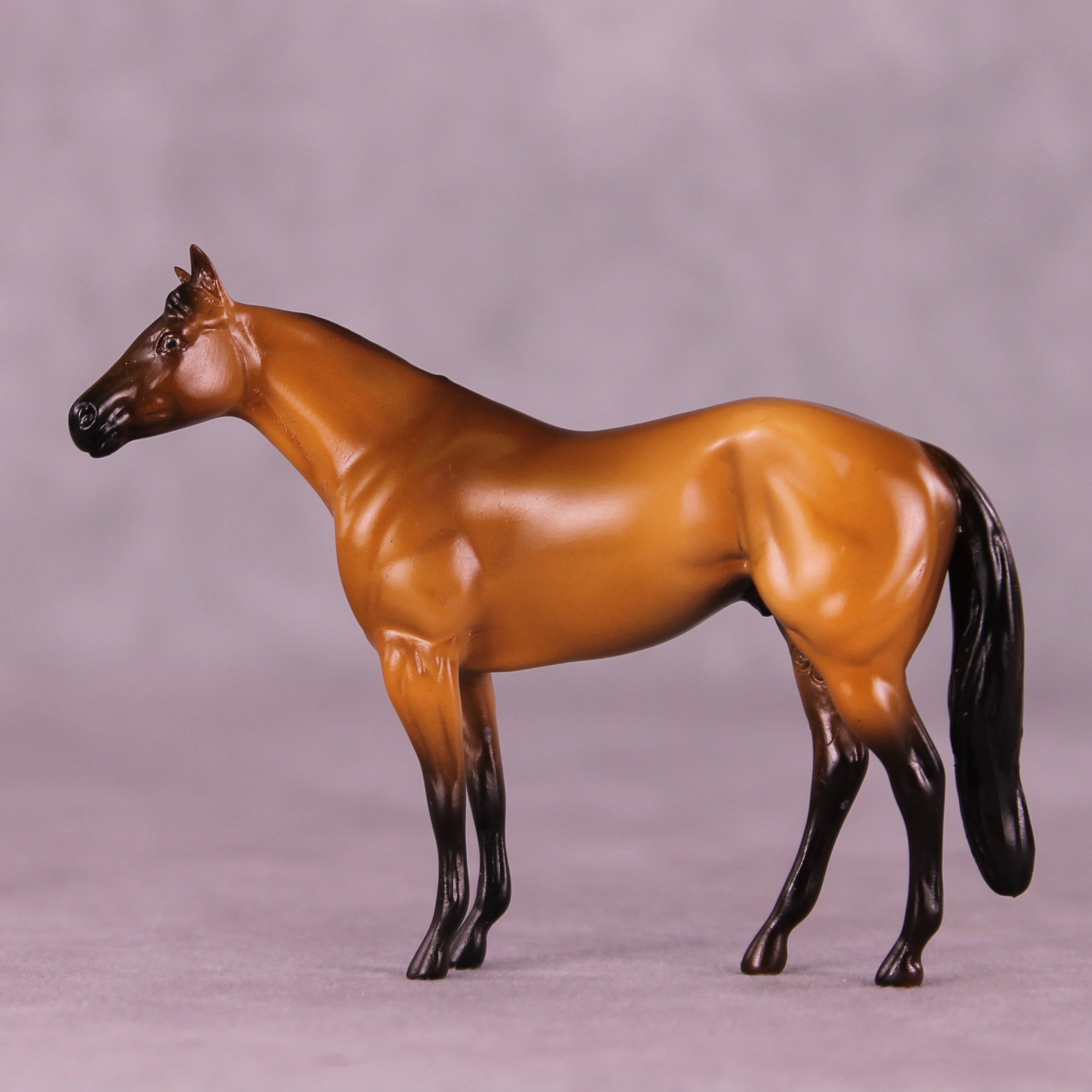 Rockstar OOAK Chip Stock Horse by Erika Isbell 11/25/2025 SS1125