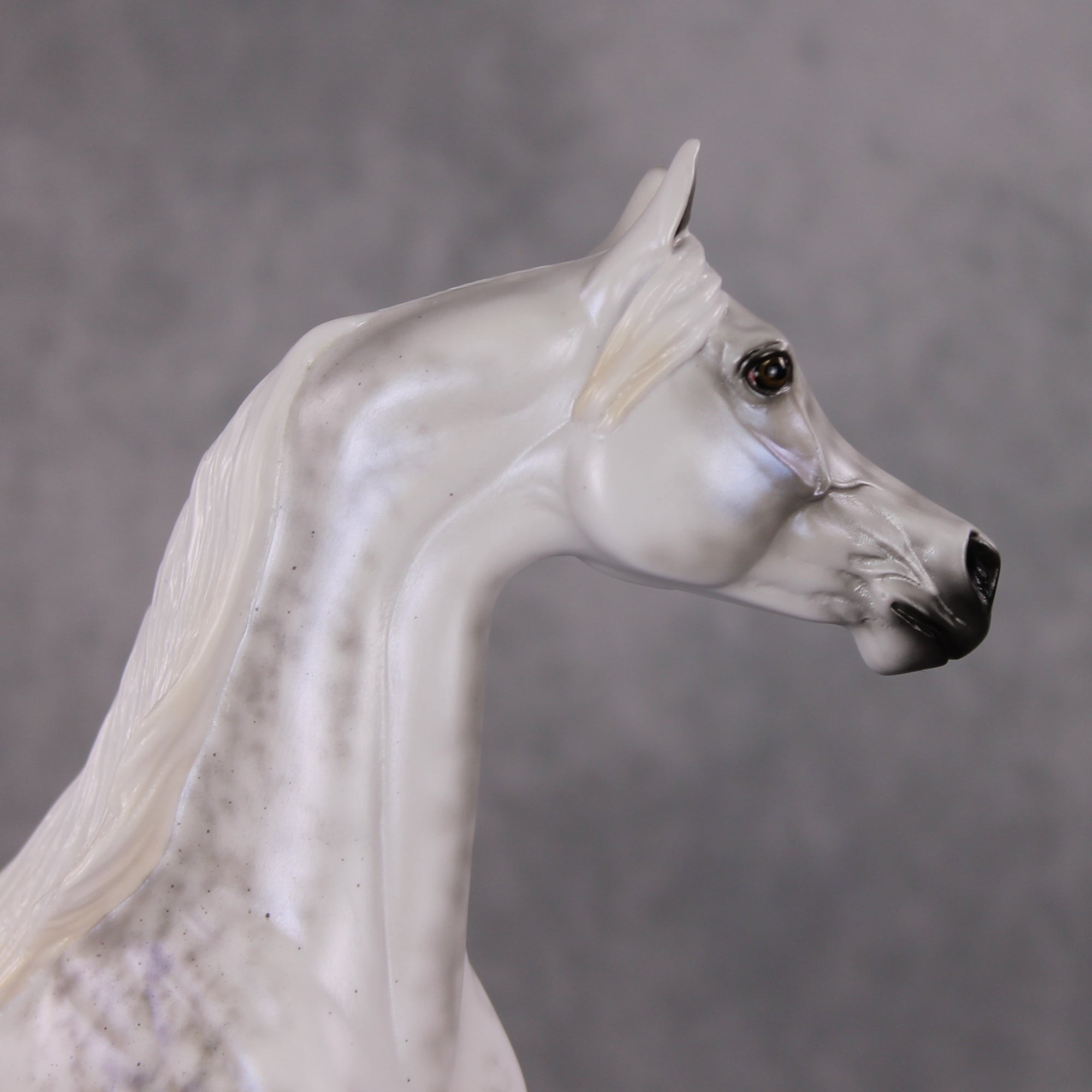 Watchful Winter OOAK Light Dapple Pearl Grey W/ Interference Arabian By Ellen Robbins HS24 MHP Auction Piece
