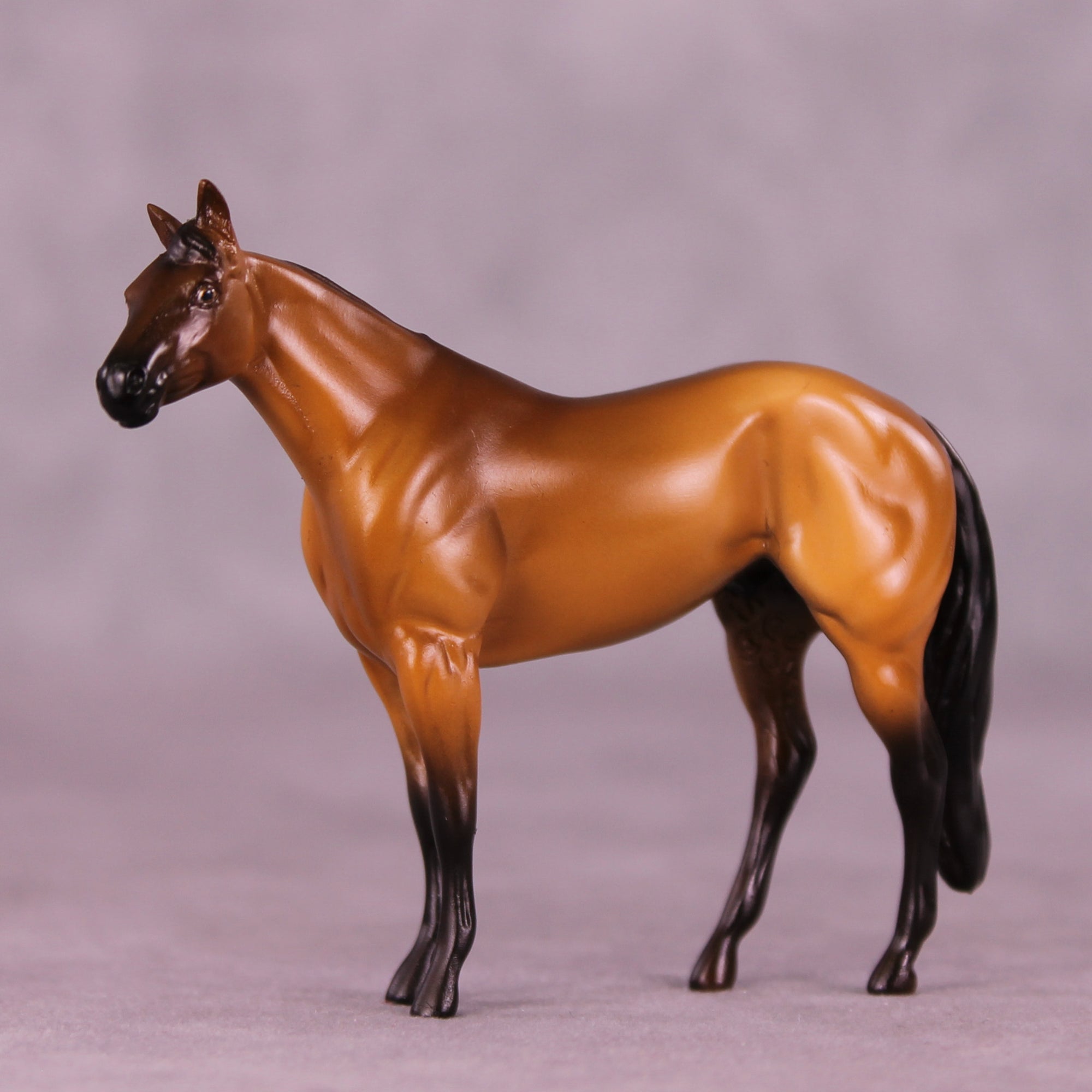 Rockstar OOAK Chip Stock Horse by Erika Isbell 11/25/2025 SS1125