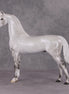 Childhood Memory OOAK Dappled Pearl Grey Arabian By Ellen Robbins HS24