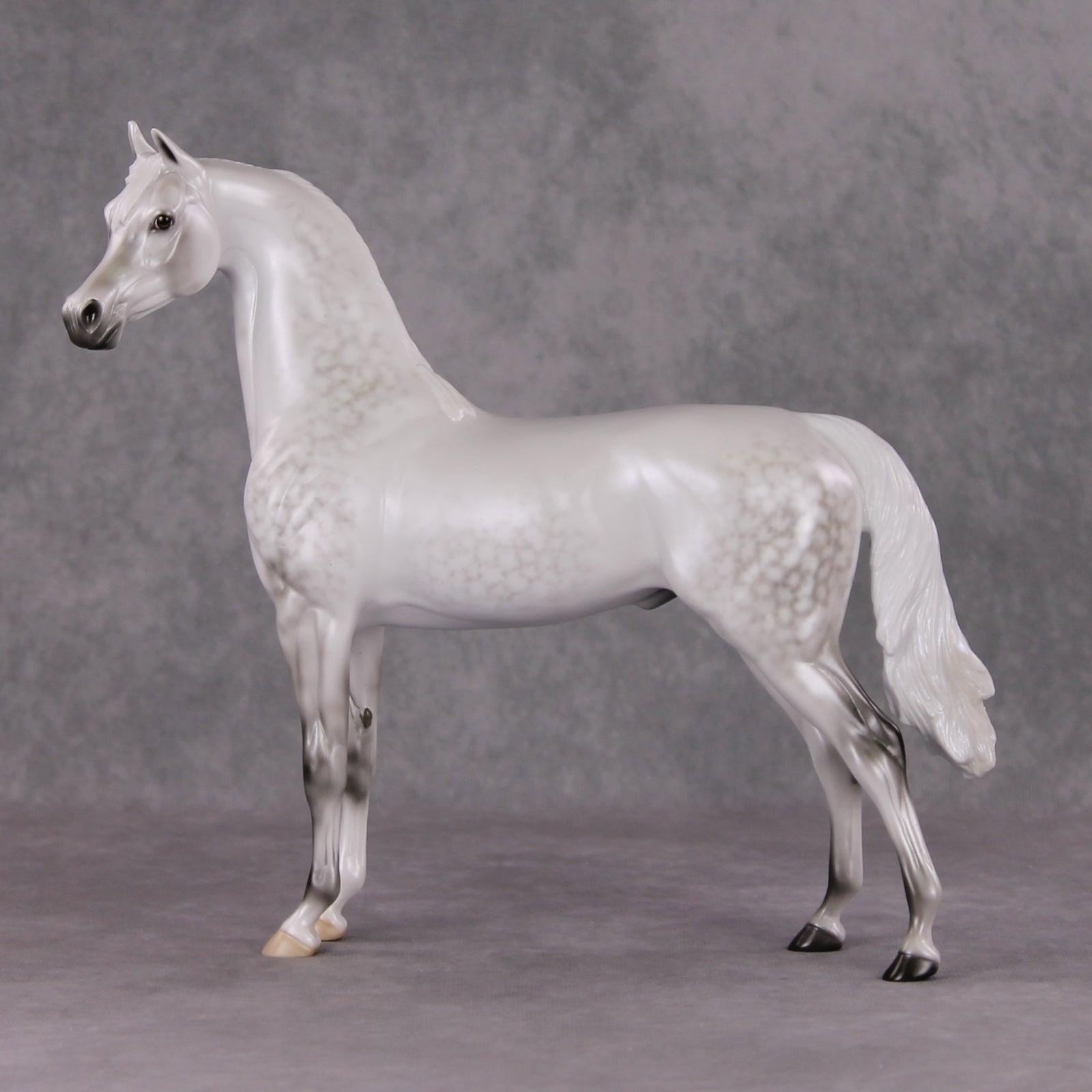 Childhood Memory OOAK Dappled Pearl Grey Arabian By Ellen Robbins HS24