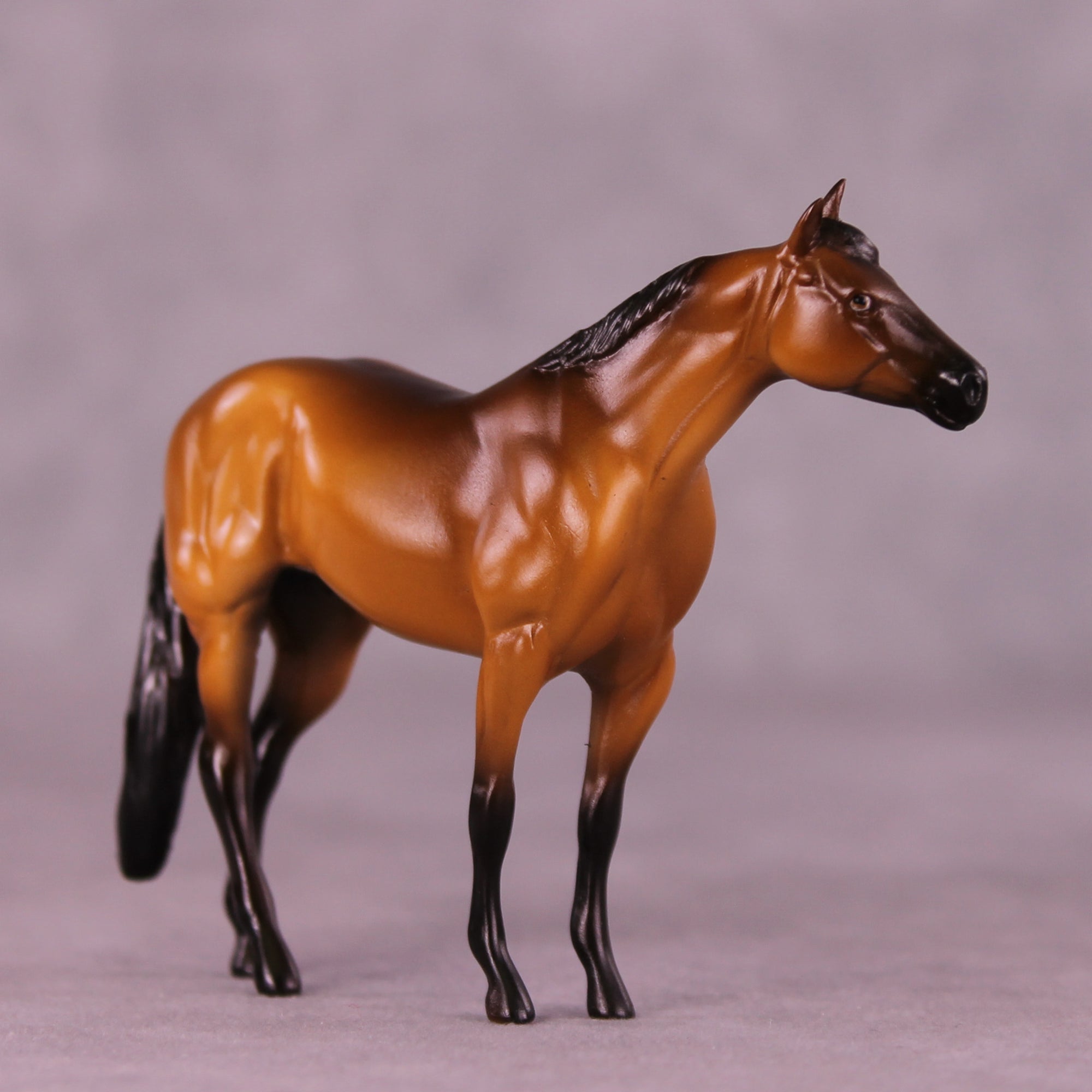 Rockstar OOAK Chip Stock Horse by Erika Isbell 11/25/2025 SS1125