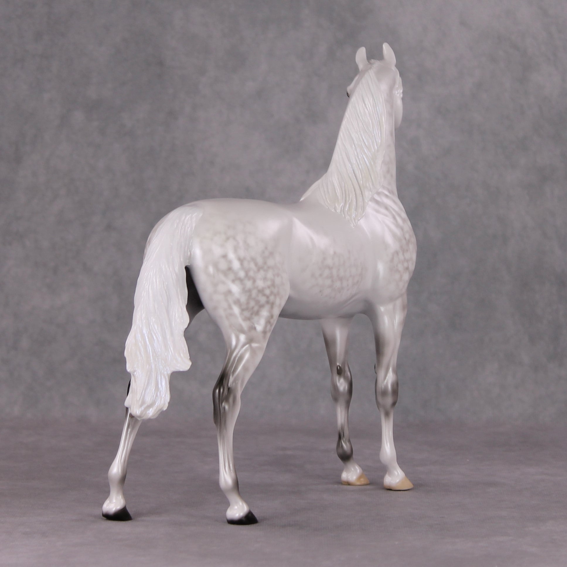 Childhood Memory OOAK Dappled Pearl Grey Arabian By Ellen Robbins HS24