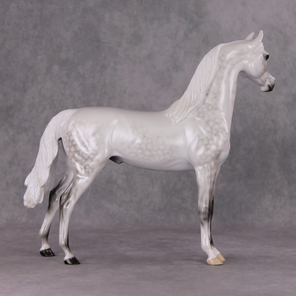 Childhood Memory OOAK Dappled Pearl Grey Arabian By Ellen Robbins HS24