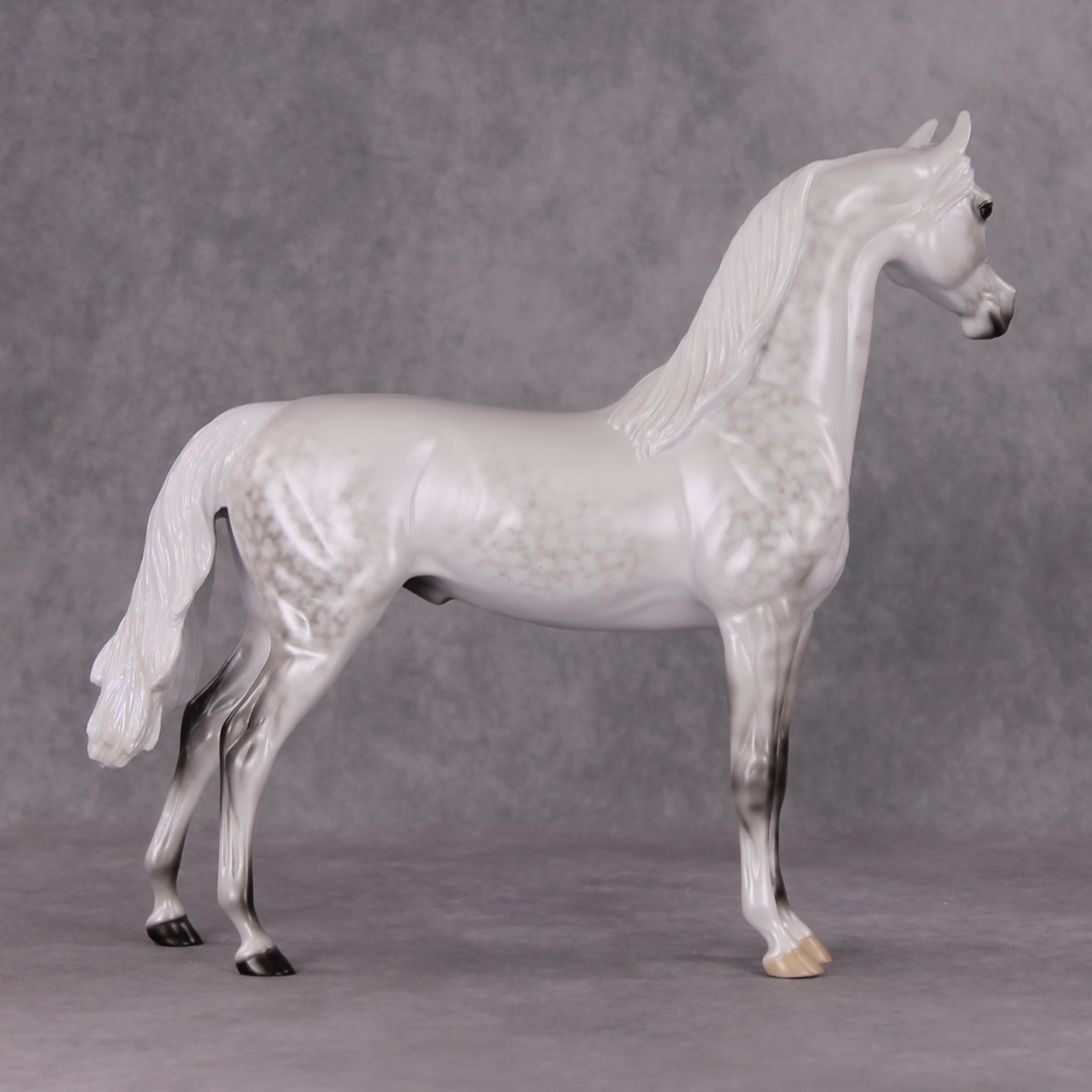 Childhood Memory OOAK Dappled Pearl Grey Arabian By Ellen Robbins HS24
