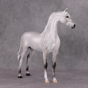 Childhood Memory OOAK Dappled Pearl Grey Arabian By Ellen Robbins HS24