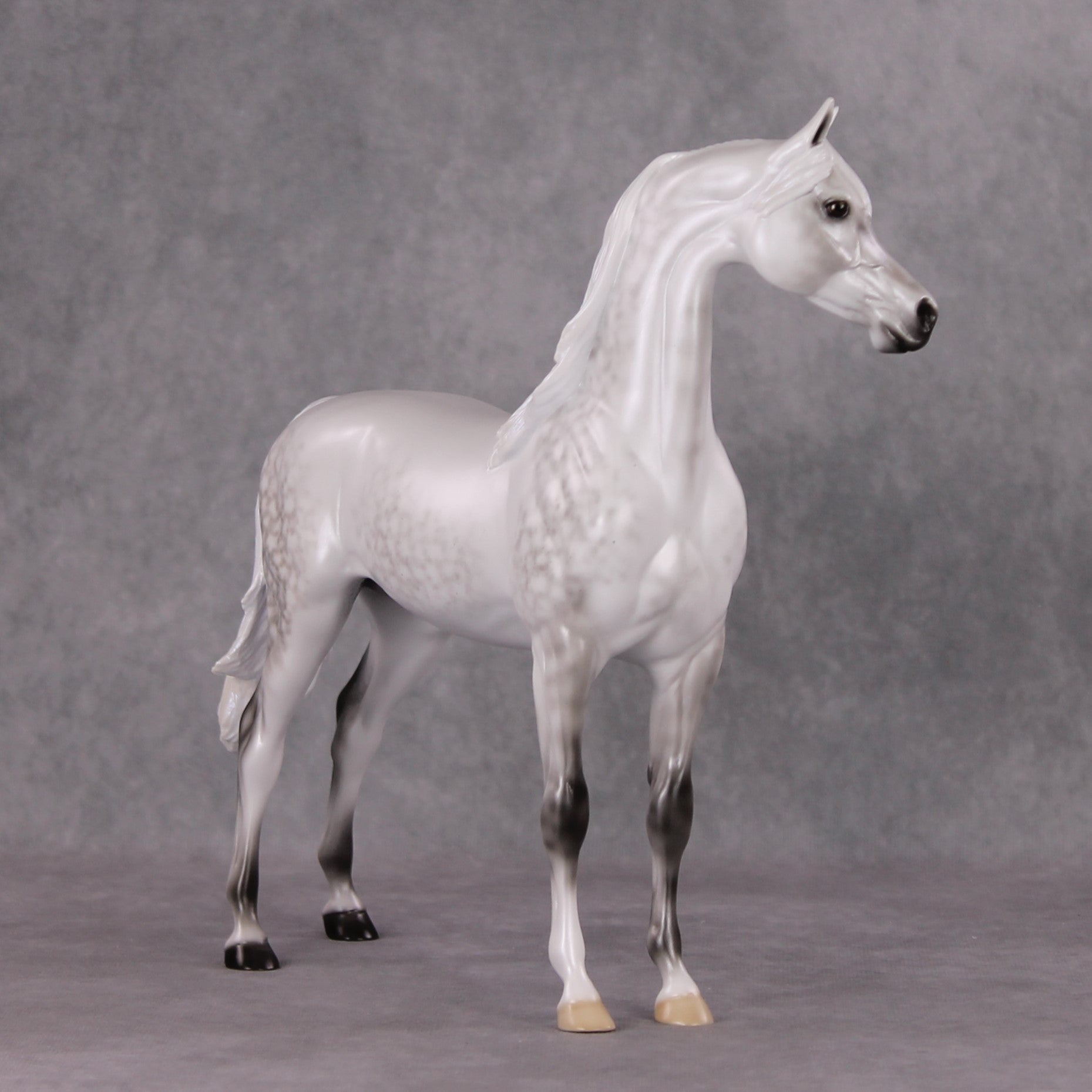 Childhood Memory OOAK Dappled Pearl Grey Arabian By Ellen Robbins HS24