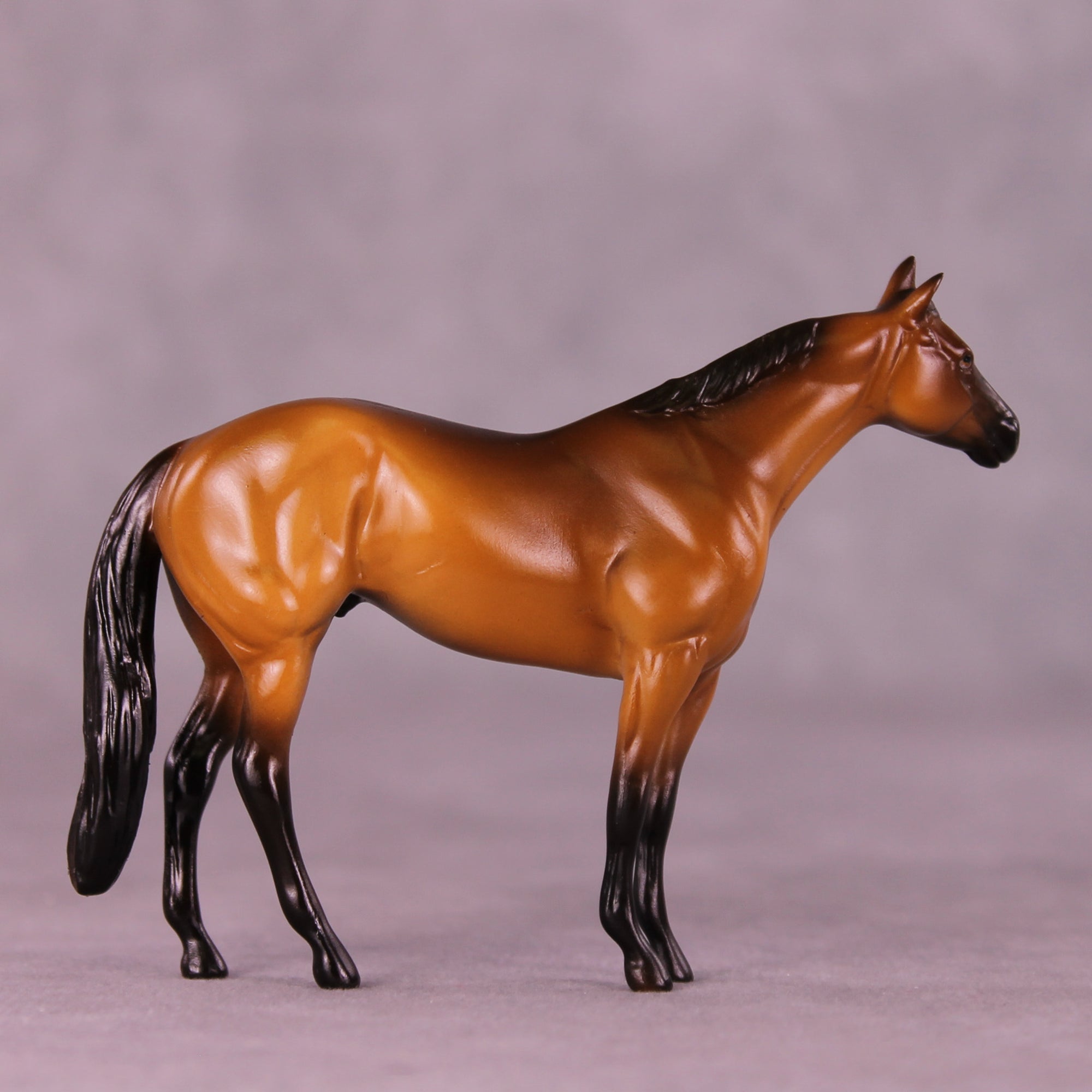 Rockstar OOAK Chip Stock Horse by Erika Isbell 11/25/2025 SS1125