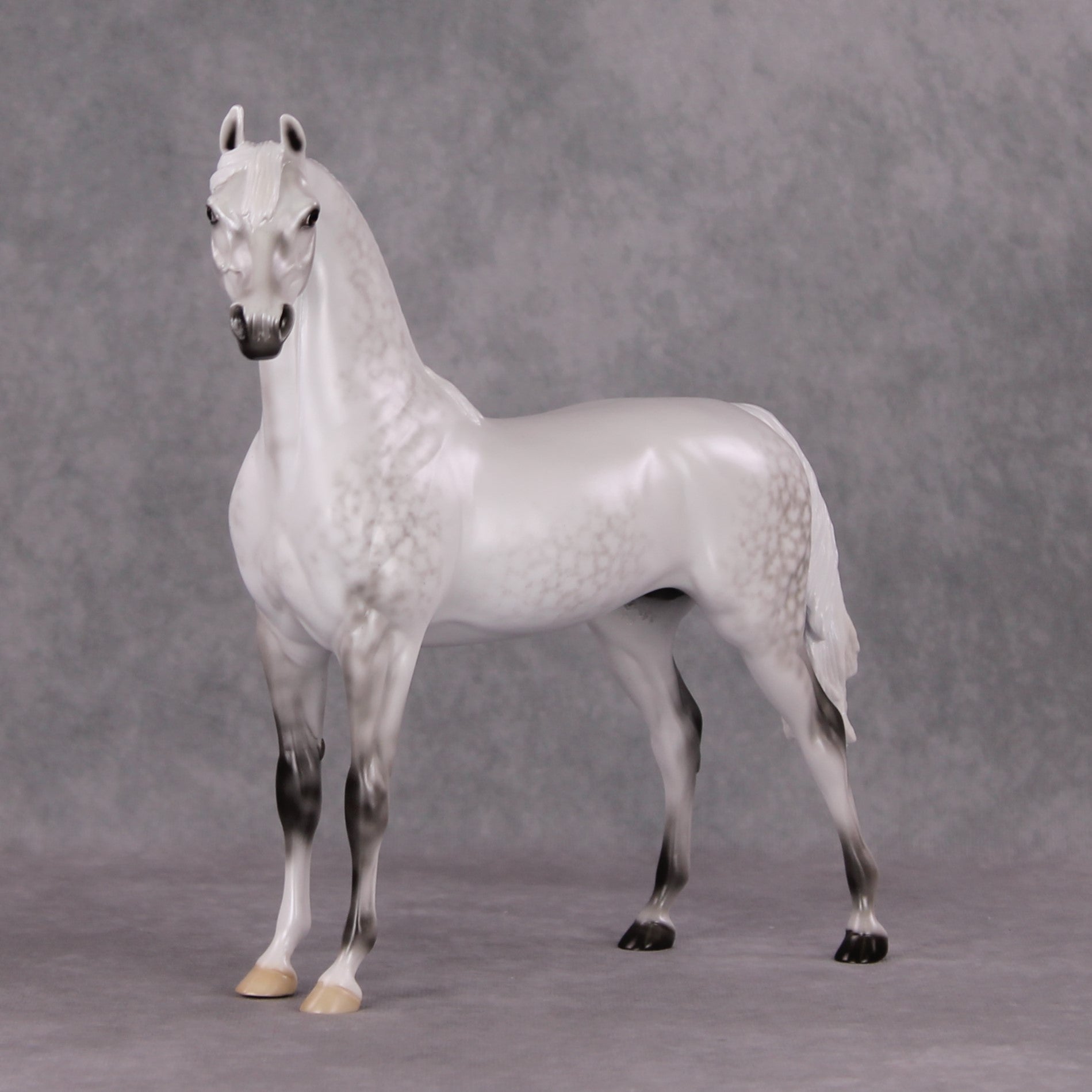 Childhood Memory OOAK Dappled Pearl Grey Arabian By Ellen Robbins HS24