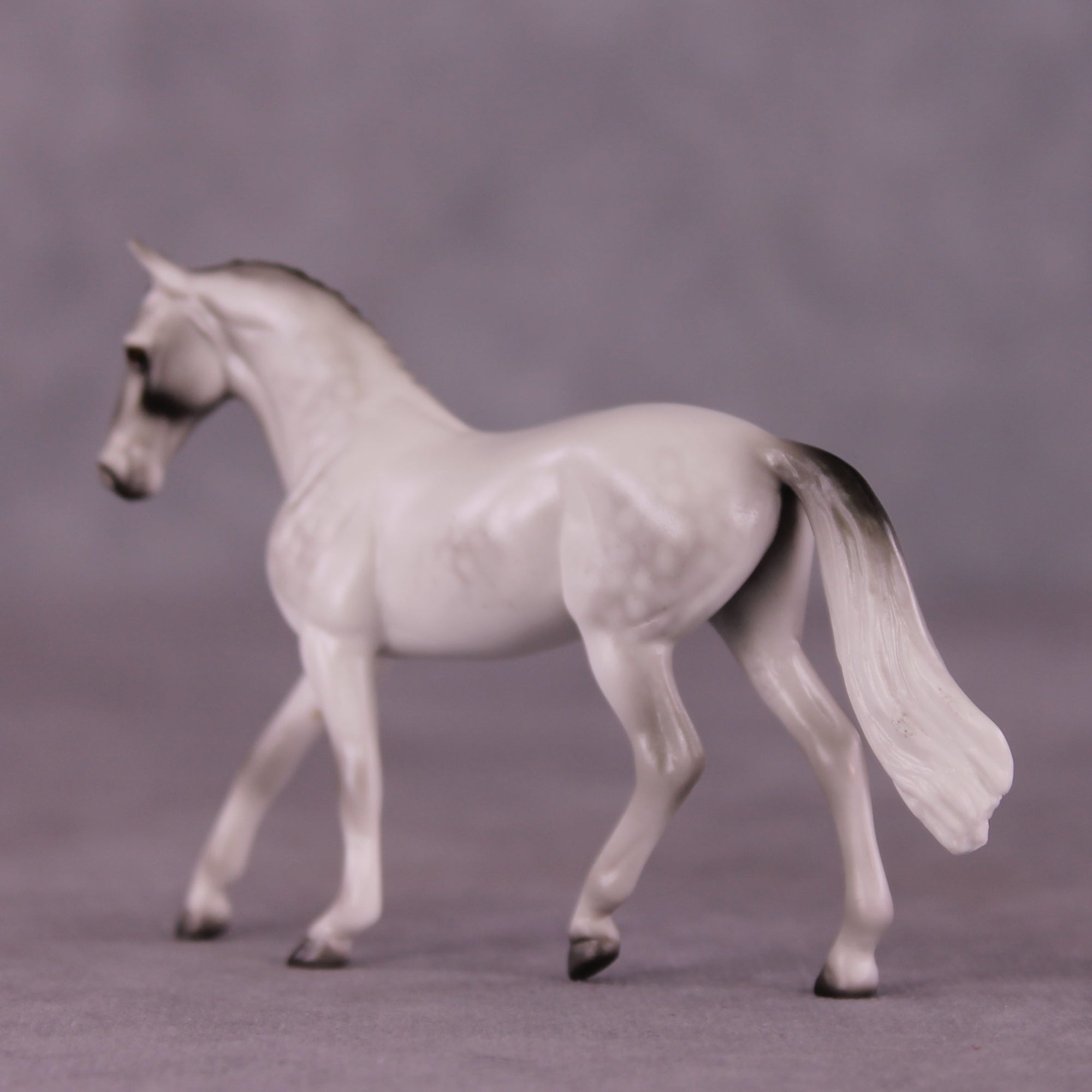 Stone Horses Midsummer Celebration Surprise Chips: The Warmblood Chips Grab Bag by Ellen Robbins SCD25