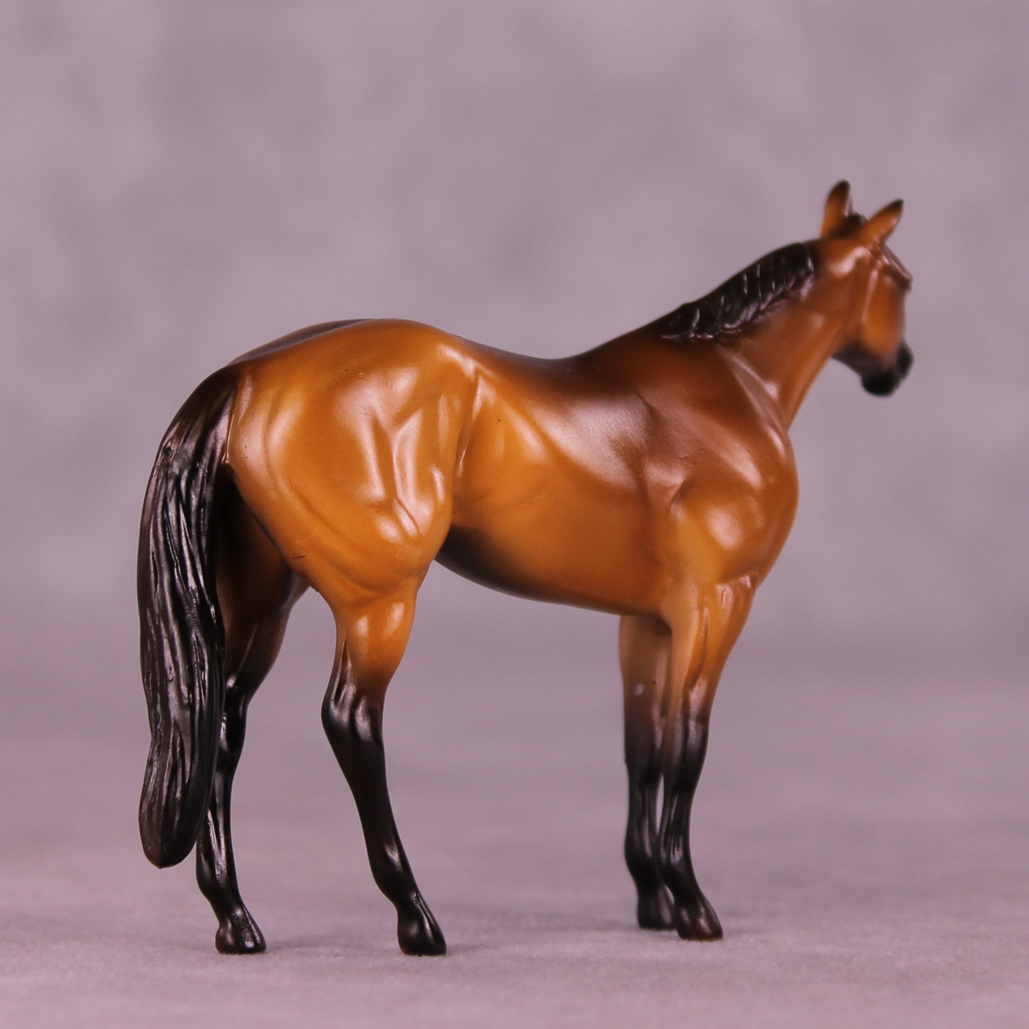 Rockstar OOAK Chip Stock Horse by Erika Isbell 11/25/2025 SS1125