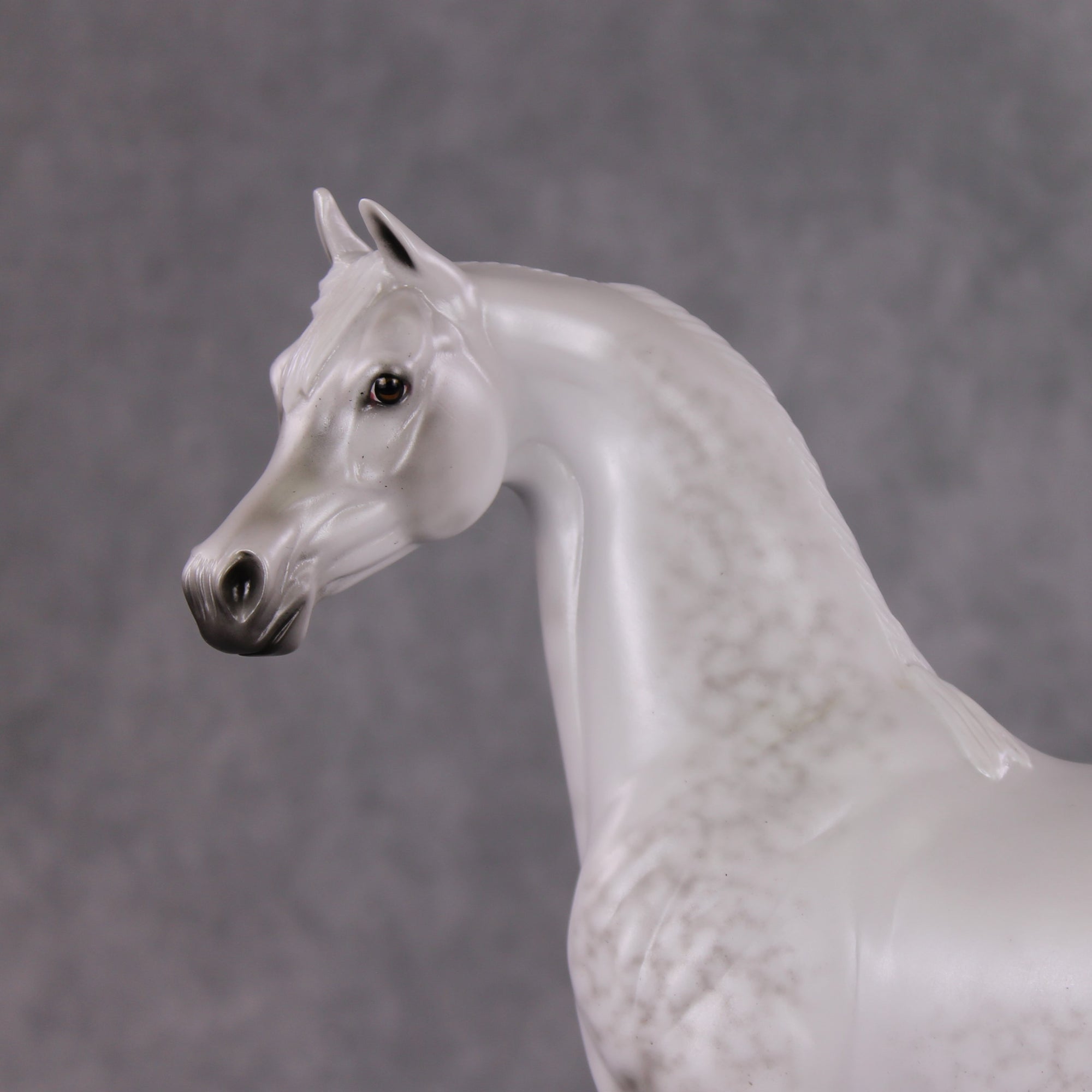 Childhood Memory OOAK Dappled Pearl Grey Arabian By Ellen Robbins HS24