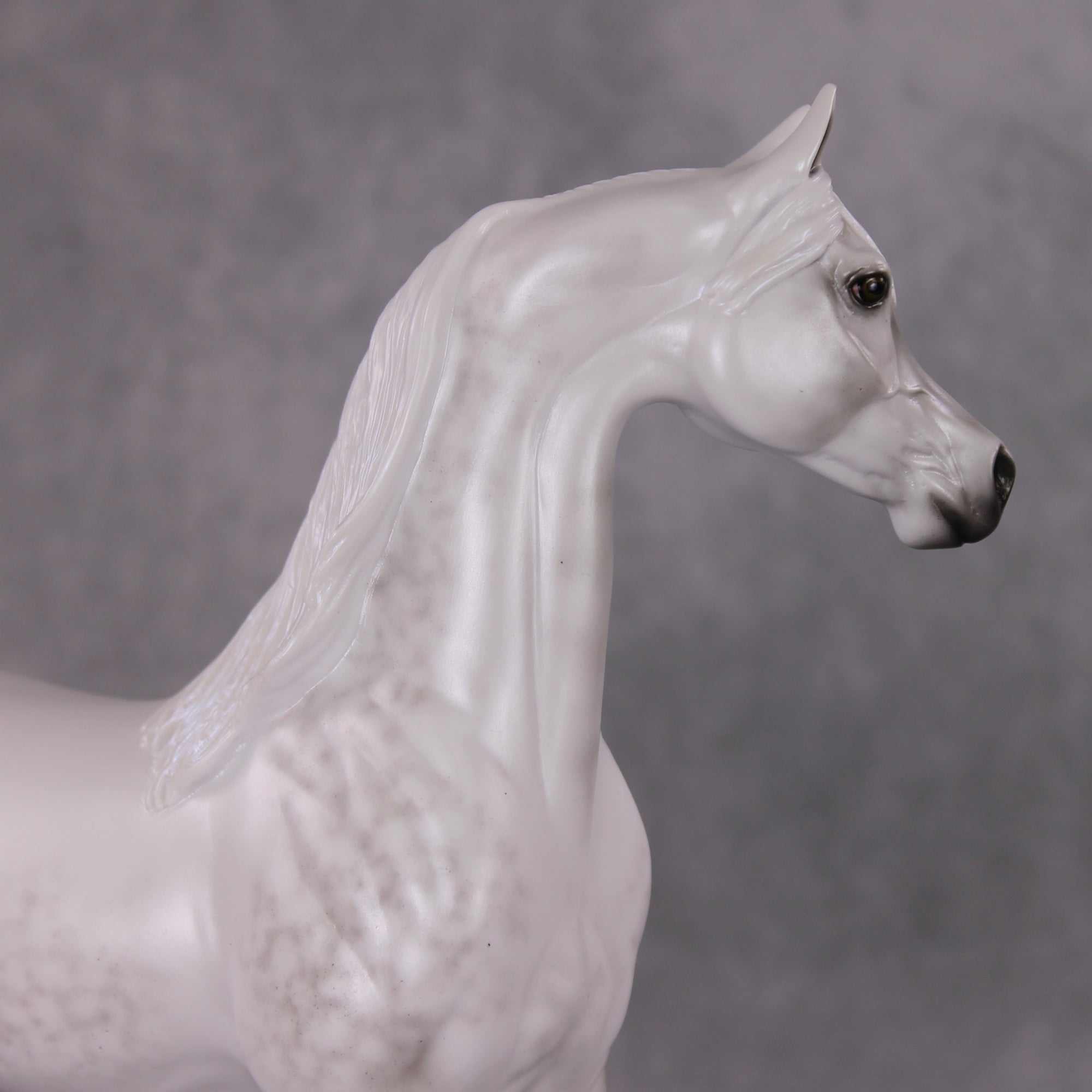 Childhood Memory OOAK Dappled Pearl Grey Arabian By Ellen Robbins HS24