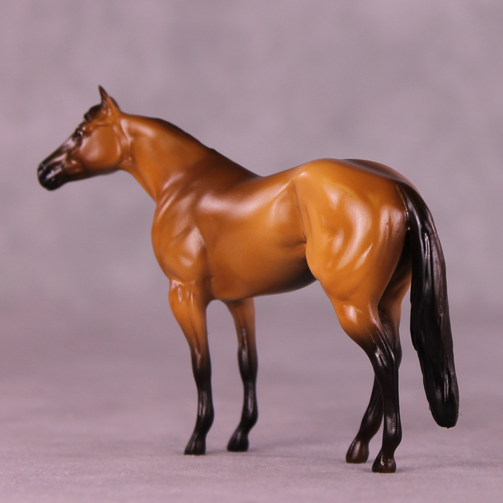 Rockstar OOAK Chip Stock Horse by Erika Isbell 11/25/2025 SS1125