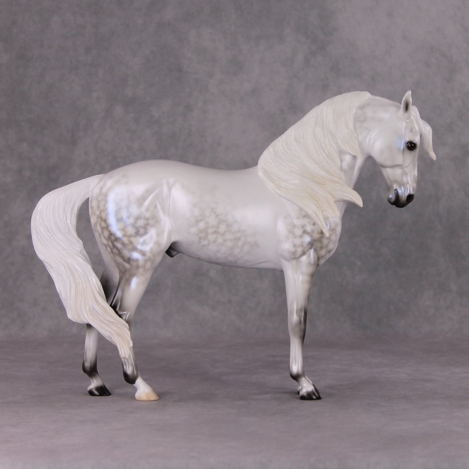 Festive Flurry OOAK Light Dappled Pearl Grey W/ Blue Interference Andalusian By Ellen Robbins HS24