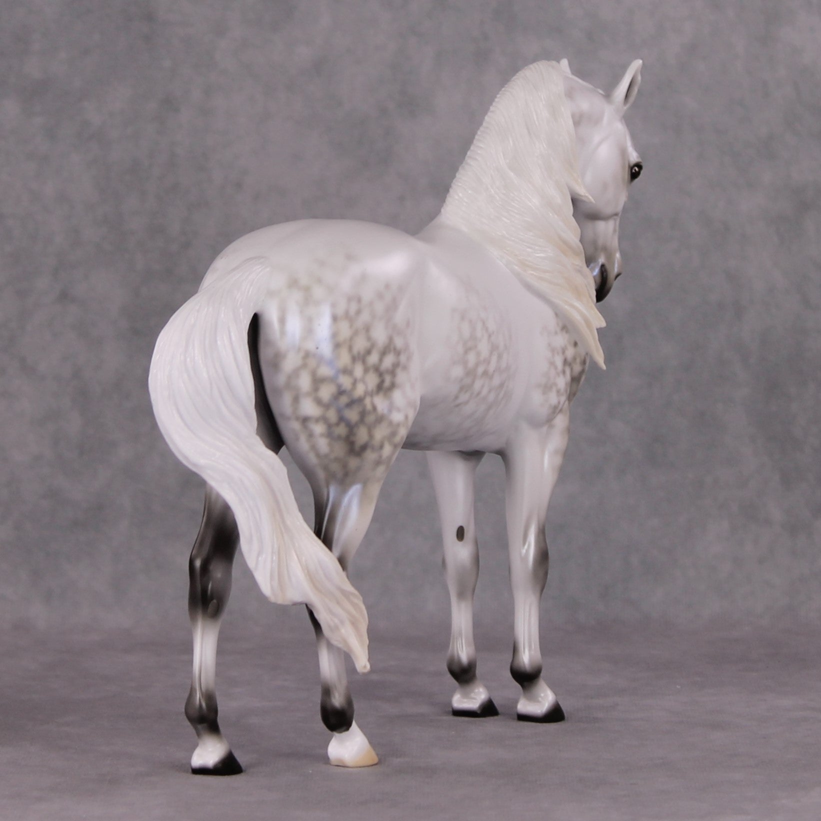 Festive Flurry OOAK Light Dappled Pearl Grey W/ Blue Interference Andalusian By Ellen Robbins HS24