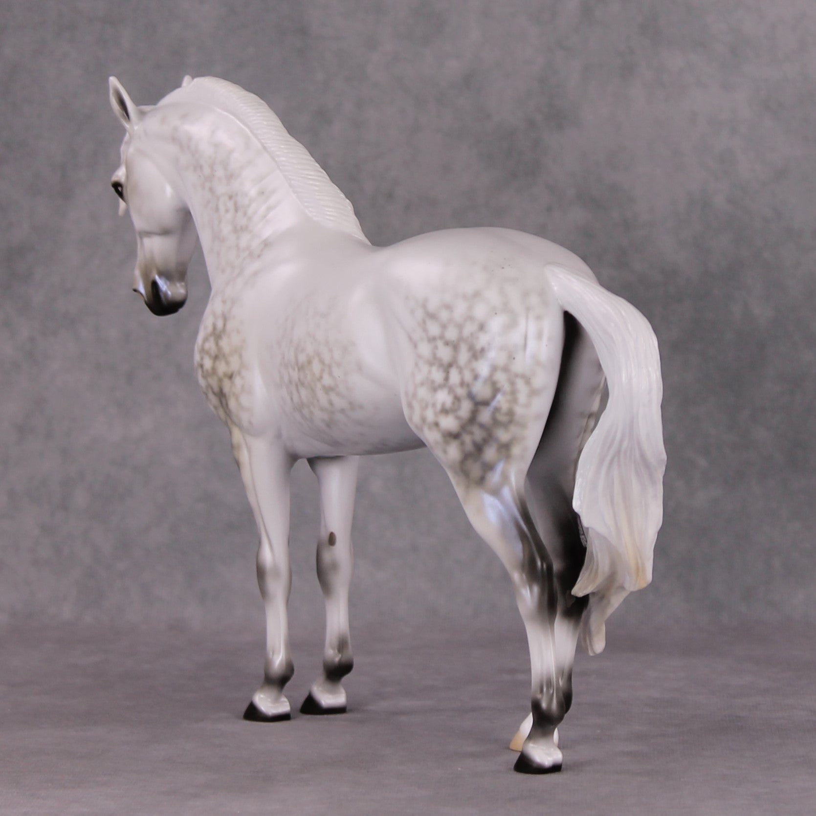 Festive Flurry OOAK Light Dappled Pearl Grey W/ Blue Interference Andalusian By Ellen Robbins HS24