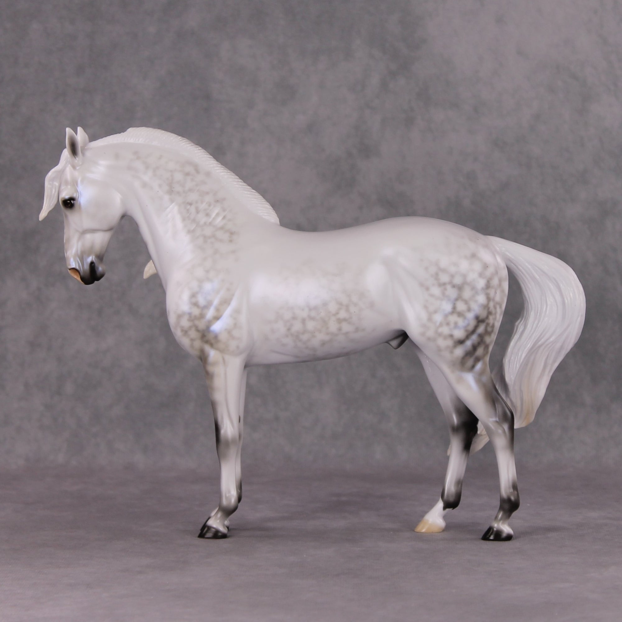 Festive Flurry OOAK Light Dappled Pearl Grey W/ Blue Interference Andalusian By Ellen Robbins HS24
