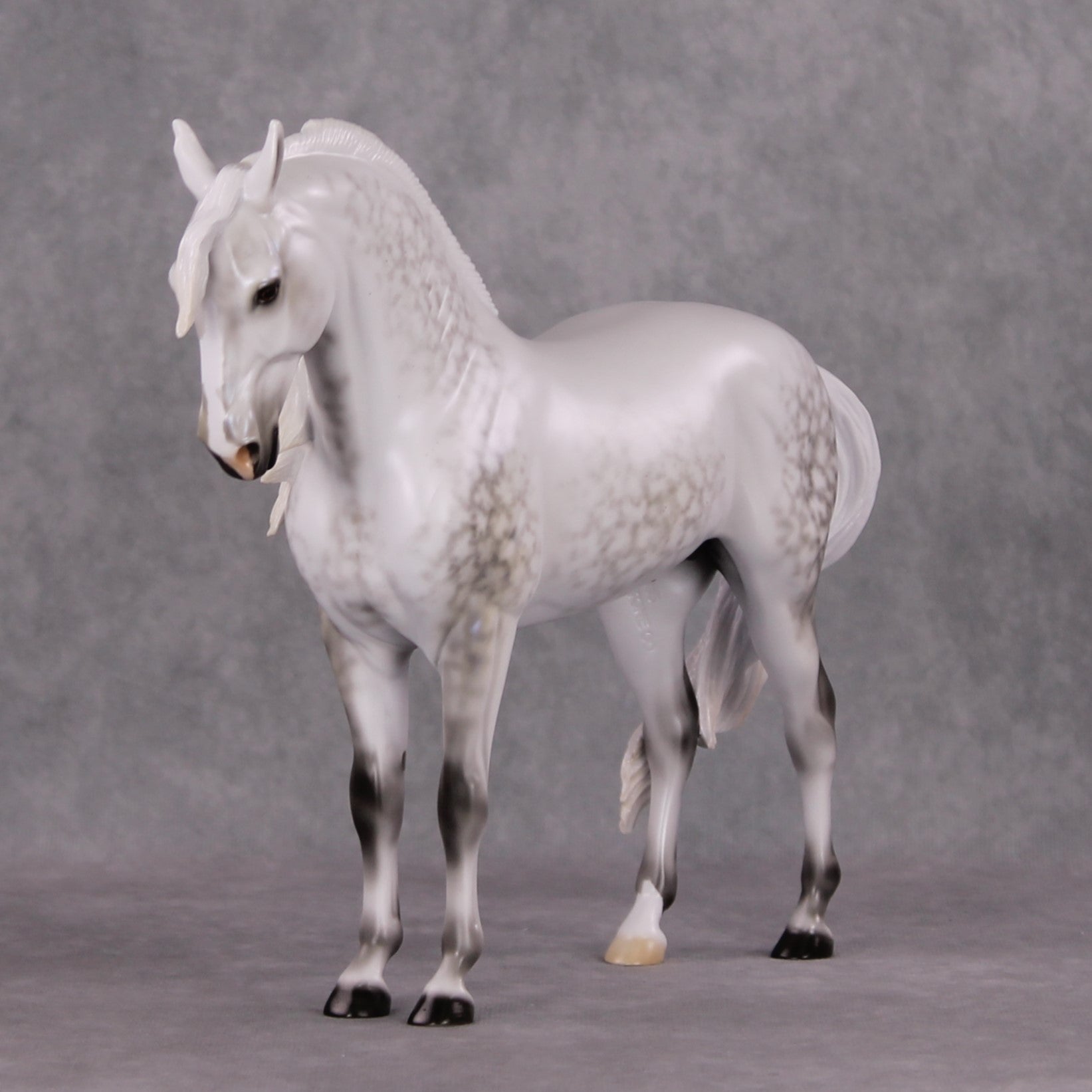 Festive Flurry OOAK Light Dappled Pearl Grey W/ Blue Interference Andalusian By Ellen Robbins HS24