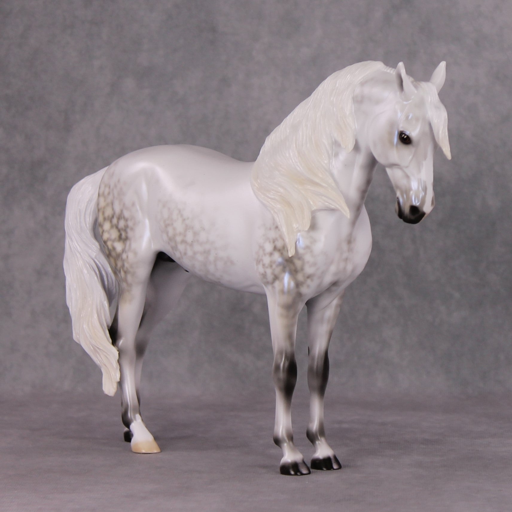Festive Flurry OOAK Light Dappled Pearl Grey W/ Blue Interference Andalusian By Ellen Robbins HS24
