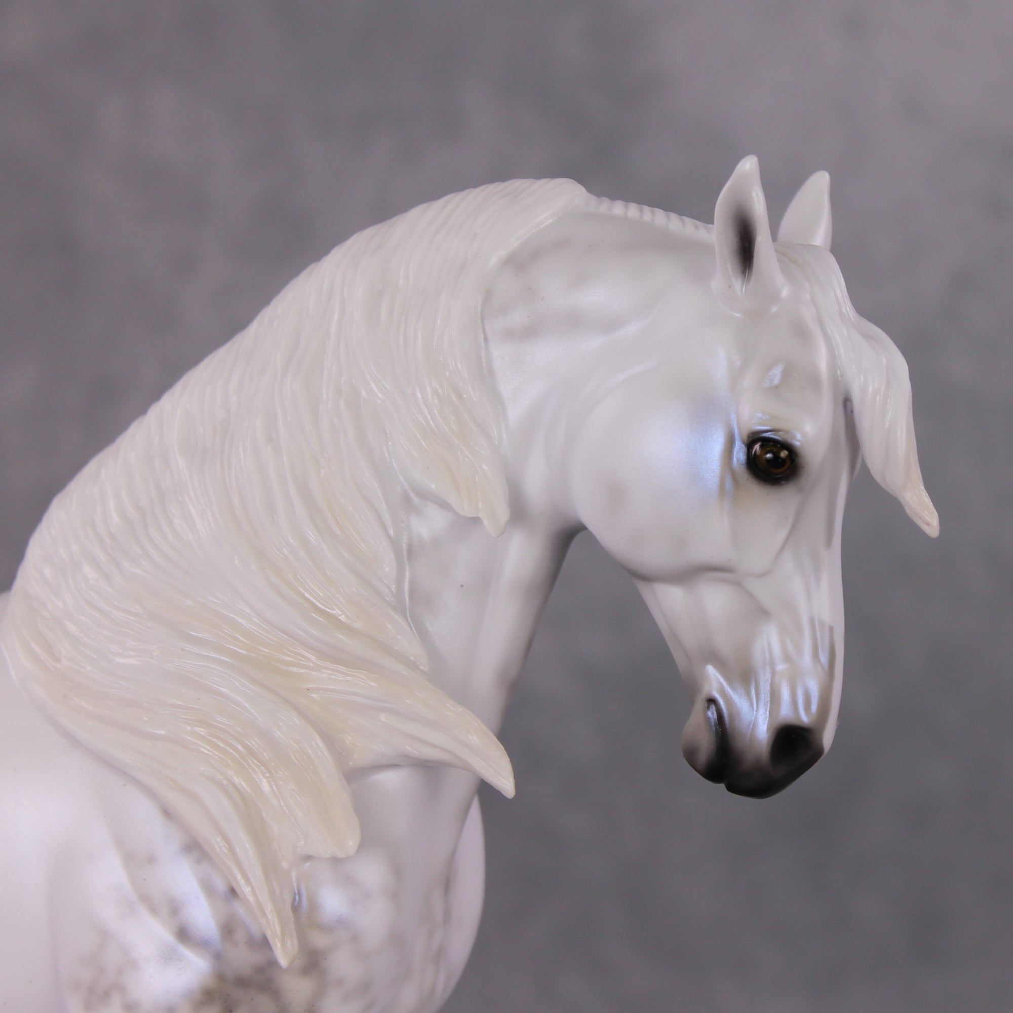 Festive Flurry OOAK Light Dappled Pearl Grey W/ Blue Interference Andalusian By Ellen Robbins HS24