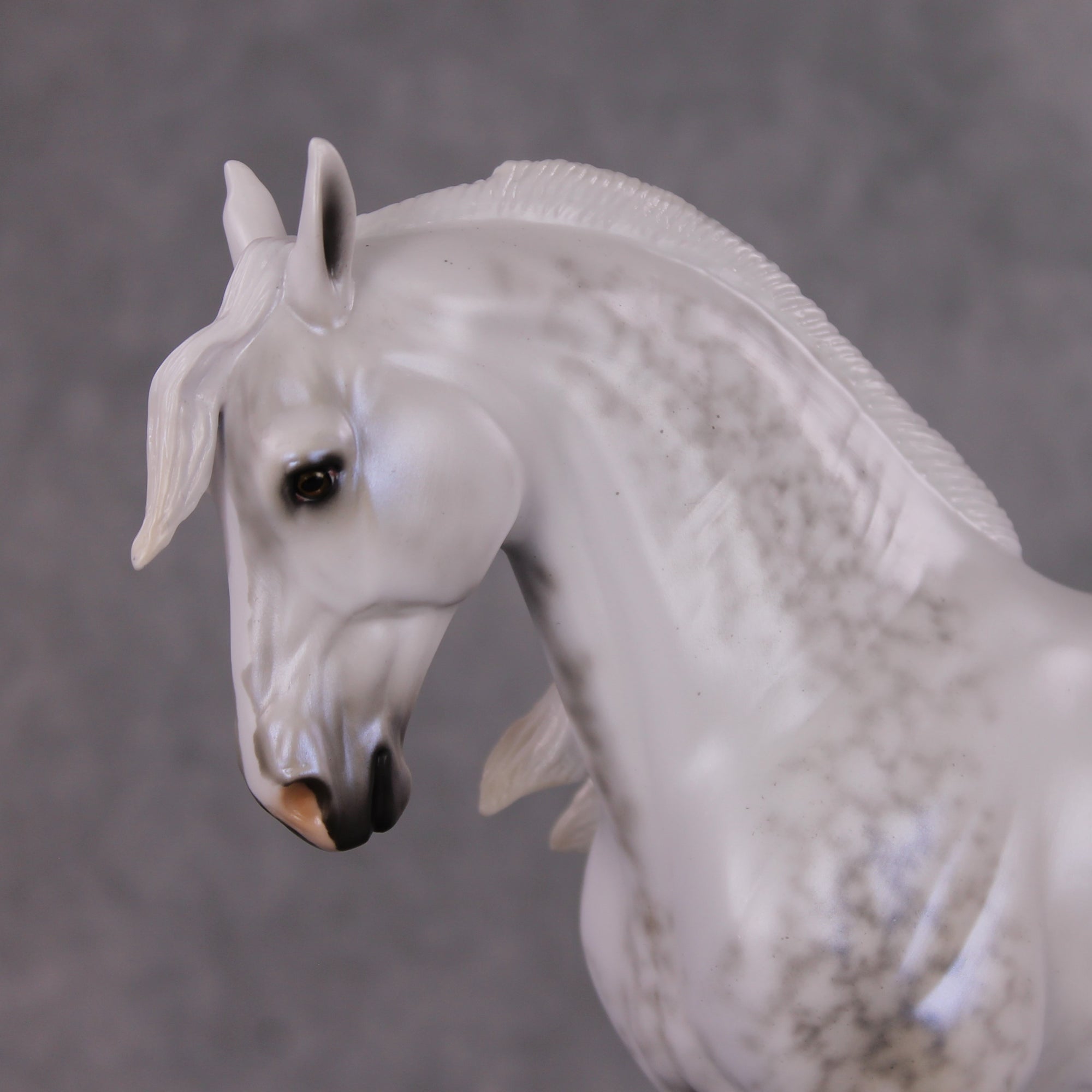 Festive Flurry OOAK Light Dappled Pearl Grey W/ Blue Interference Andalusian By Ellen Robbins HS24